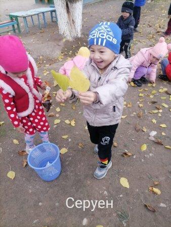 "Балапан" ересек тобының серуен кезеңі